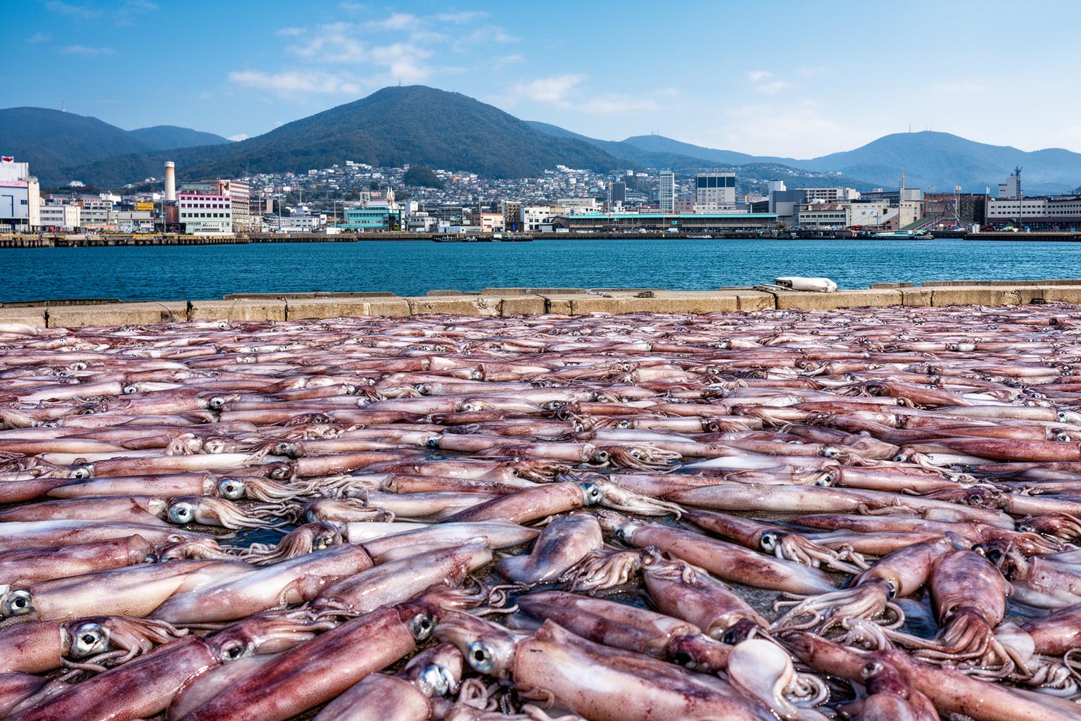 zhun-bei-hao-le-ma-chu-fa-qian-wang-wu-zhui-diao-chang